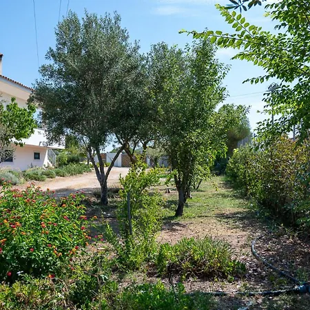 Minerva Nocleg ze śniadaniem Olbia